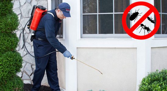Bağlar Pire İlaçlama böcek ilaçlama ve haşere kontrolü — ilaclama-tr.com